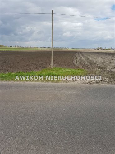 Działka rolna 77 360 m² w Brwinowie - żyzna i z warunkami zabudowy działka Brwinów