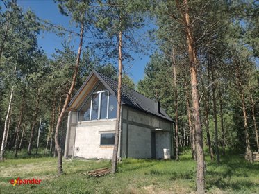 Nowoczesny dom 81 m2 z 2025 r. w Widełkach, las, 2 sypialnie dom Widełka