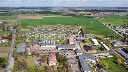 Inwestycja rolna z potencjałem – 148 ha w Paczkowie działka Paczkowo