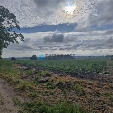 działka na sprzedaż 4700m2 działka Sąborze