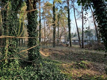 działka na sprzedaż 1487m2 działka Podkowa Leśna, Owczarnia