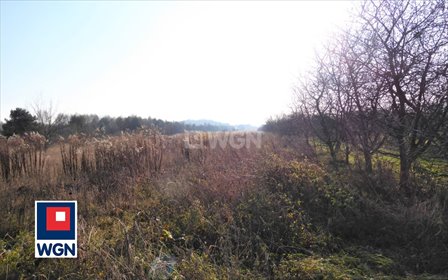 działka na sprzedaż 34507m2 działka Częstochowa, Mirów, Morska