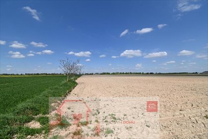 działka na sprzedaż 4200m2 działka Stoczek