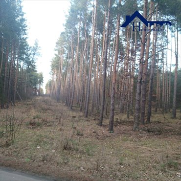 działka na sprzedaż 1875m2 działka Kuźnica Żerechowska