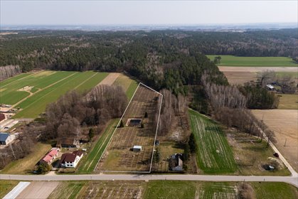 działka na sprzedaż 8109m2 działka Albinów