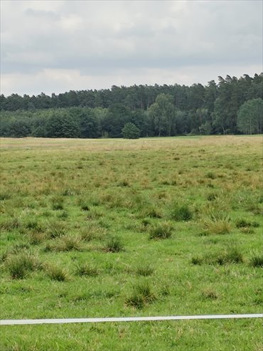 działka na sprzedaż 37200m2 działka Kęsza, Kęsza