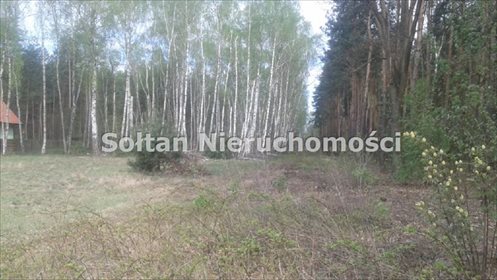 Działka 10 000 m² pod inwestycję lub dom. Zalesiona, media w drodze. działka Władysławów