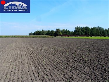 działka na sprzedaż 1100m2 działka Ceradz Dolny, Ceradz Dolny-Kolonia