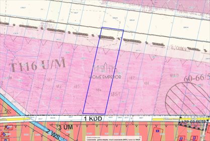 Działka 4879 m² pod usługi i zabudowę mieszkaniową działka Lesznowola, Czesława Miłosza