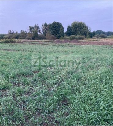 Działka 1500m² z prądem i wodą, Białołęka - zapraszam działka Warszawa, Białołęka, Kobiałka