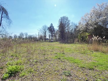Działka siedliskowa pod dzierżawę Obórki 2 000m2 Foto 7