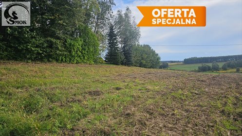 działka na sprzedaż 5300m2 działka Zadroże