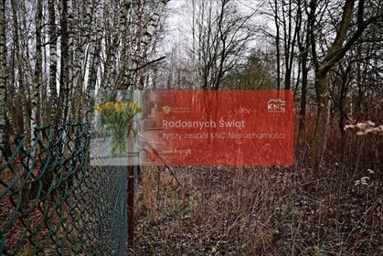 działka na sprzedaż 6533m2 działka Kazimierz Dolny