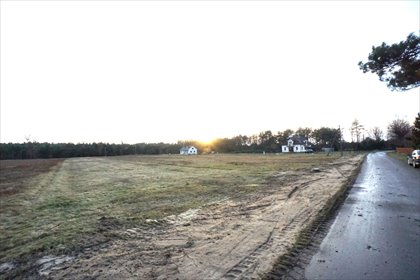 działka na sprzedaż 5300m2 działka Czerwona Wola, Czerwona Wola