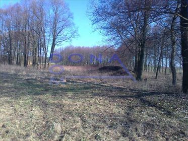 Działka siedliskowa na sprzedaż Szczukwin 7 000m2 Foto 4