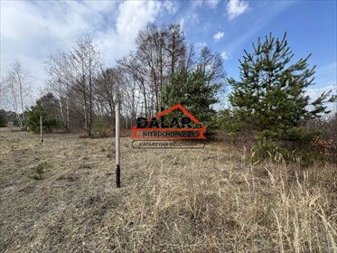 działka na sprzedaż 1500m2 działka Krzaki Czaplinkowskie