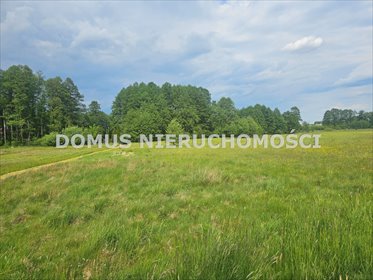 Do sprzedania działka 2751 m² w spokojnej okolicy działka Olszowiec
