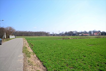 działka na sprzedaż 5798m2 działka Rzeki Wielkie, Rzeki Wielkie, Miernicza