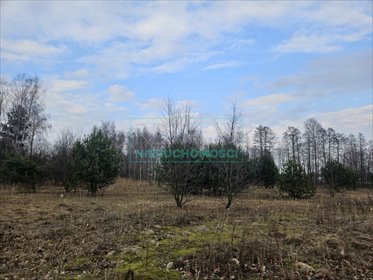 działka na sprzedaż 2121m2 działka Jaktorów-Kolonia