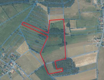 działka na sprzedaż 121000m2 działka Jędrzychówek