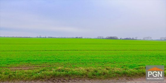Działka rolno-budowlana 7883 m² z mediami (woda, prąd) działka GRYFICE OKOLICA