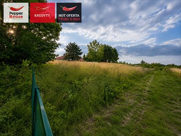 Do sprzedania przestronna działka 11 900 m² z stawem i nasadzeniami działka Łęcze