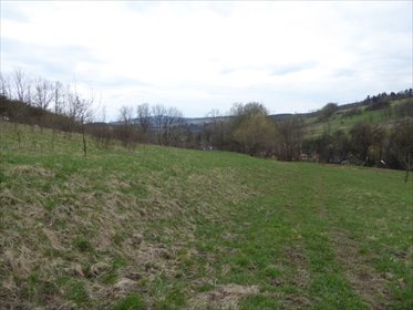 działka na sprzedaż 2271m2 działka Duszniki-Zdrój
