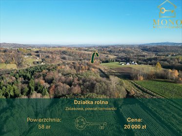 Działka rolno-leśna 58 ar w Zalasowej - polecam! działka Zalasowa