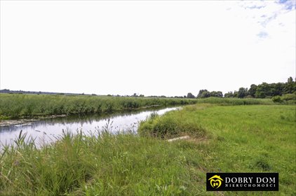 Zapraszam do działki nad Netta z linią brzegową 32 arów działka Lipowo, Sosnowo
