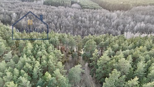Działka leśna 8 300 m² w Łapinóżu - polecam działka Łapinóż
