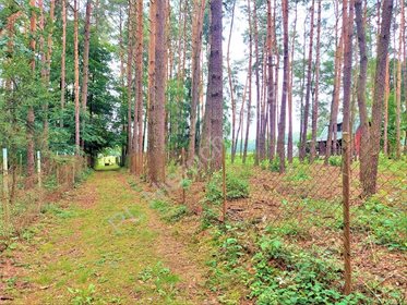Działka rekreacyjna na sprzedaż Drożdżówka 1 427m2 Foto 5