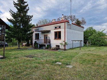 Działka siedliskowa na sprzedaż Sadowne 3 500m2 Foto 2