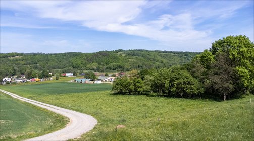 działka na sprzedaż 10155m2 działka Nowy Borek