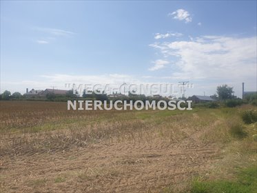 działka na sprzedaż 57999m2 działka Pasłęk, Pasłęk