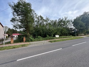 Do sprzedania duża działka 15 243 m² z MPZP i lasem działka Wola Chodkowska
