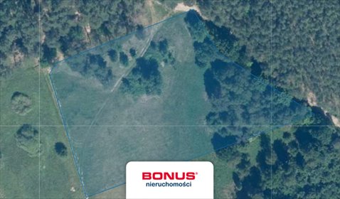Działka 9100 m² nad jeziorami Krosino i Siecino działka Cieszyno