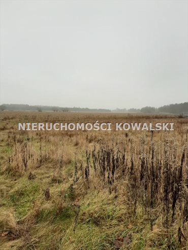 Działka rekreacyjna na sprzedaż Zarośle Cienkie 3 281m2 Foto 4