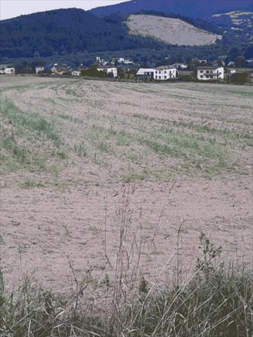 Działka budowlana na sprzedaż Marcinkowice 1 200m2 Foto 1