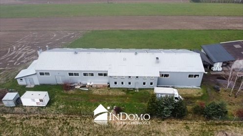 magazyn na wynajem 654m2 magazyn Gajkowice