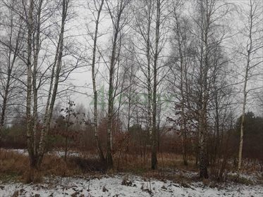 Działka rolna na sprzedaż Stare Polesie 3 000m2 Foto 2