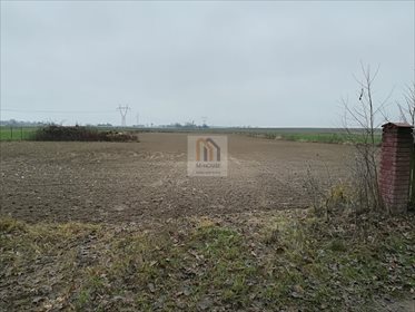 Działka budowlana na sprzedaż Iżyce 9 700m2 Foto 2