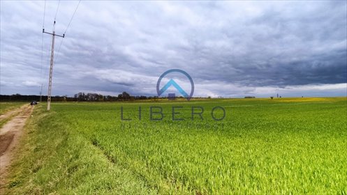 działka na sprzedaż 5446m2 działka Zatory