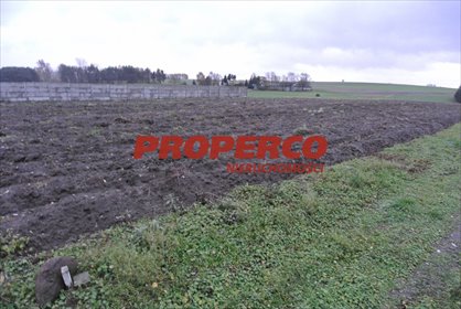 Działka 774 m² w Borkach - media w drodze, cicha okolica działka Jędrzejów, Borki