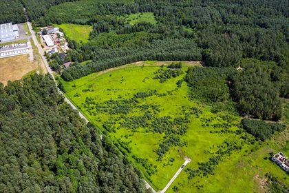 Działka inna na sprzedaż Smolarzyny 44 800m2 Foto 6
