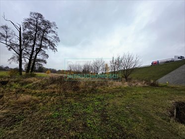 działka na sprzedaż 30000m2 działka Grodzisk Mazowiecki