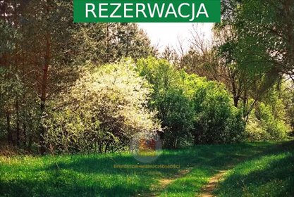 działka na sprzedaż 1000m2 działka Leszno, Podzaborówek