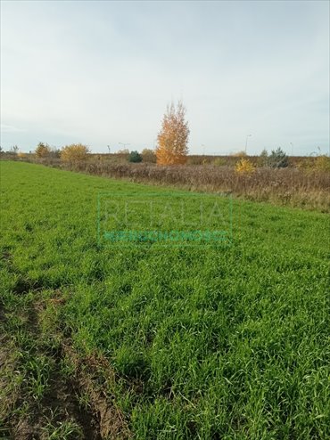 działka na sprzedaż 1200m2 działka Michałowice