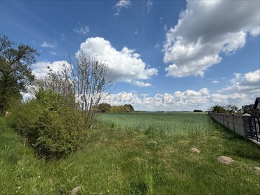 działka na sprzedaż 2000m2 działka Zajączki