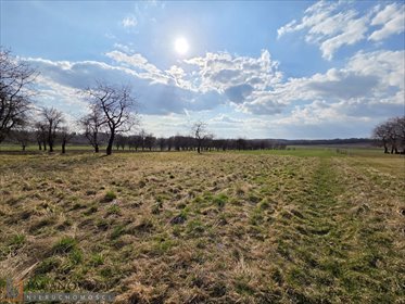 działka na sprzedaż 1010m2 działka Smardzowice