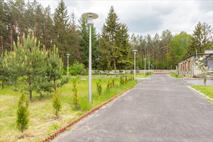 Działka inwestycyjna na sprzedaż Gucin 17 775m2 Foto 3